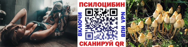 закладки  Белорецк  Галлюциногенные грибы Psilocybe 